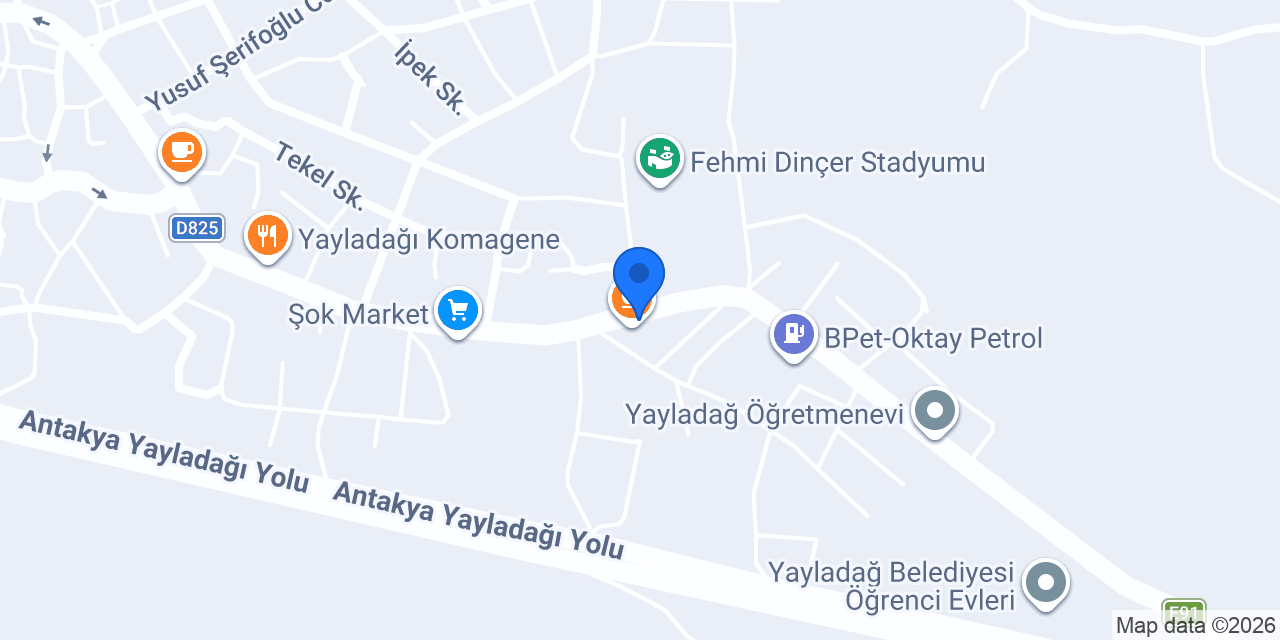 Yayladağı papatya çiçek evi konumu