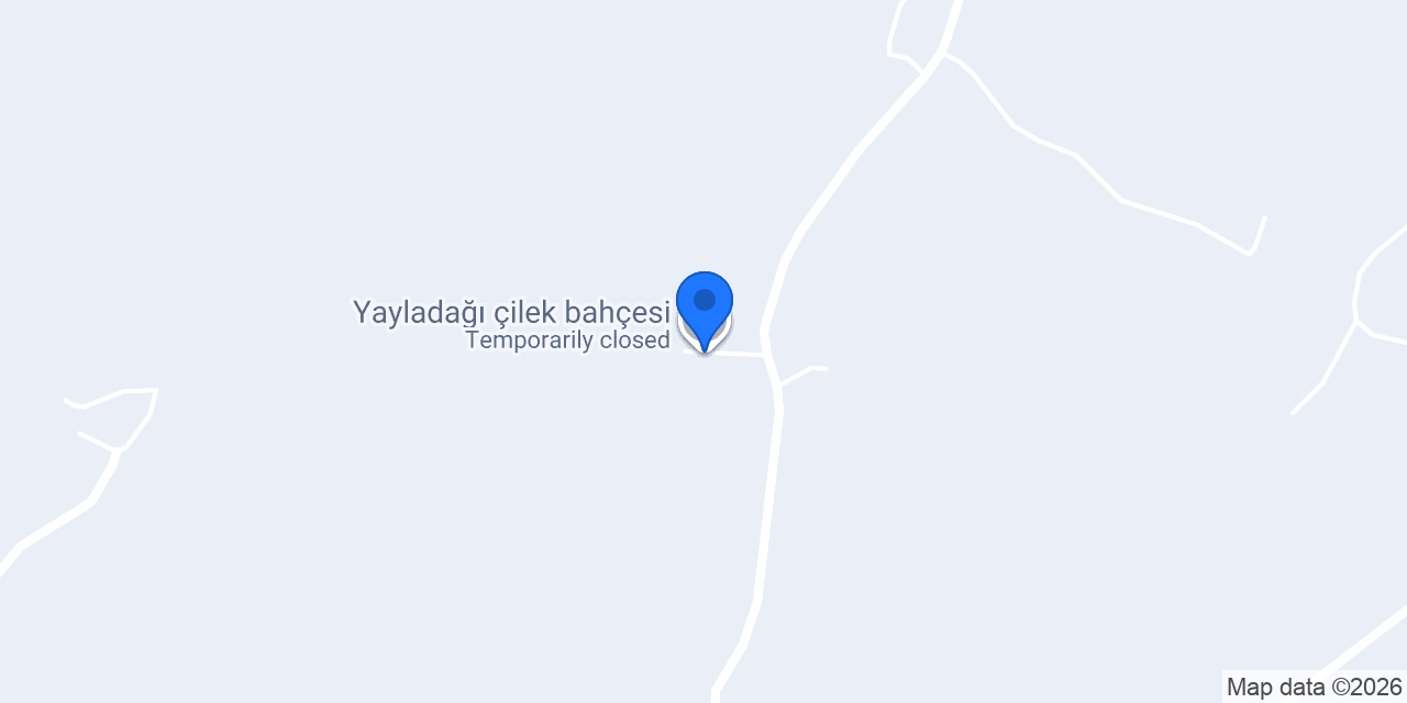 Yayladağı çilek bahçesi konumu