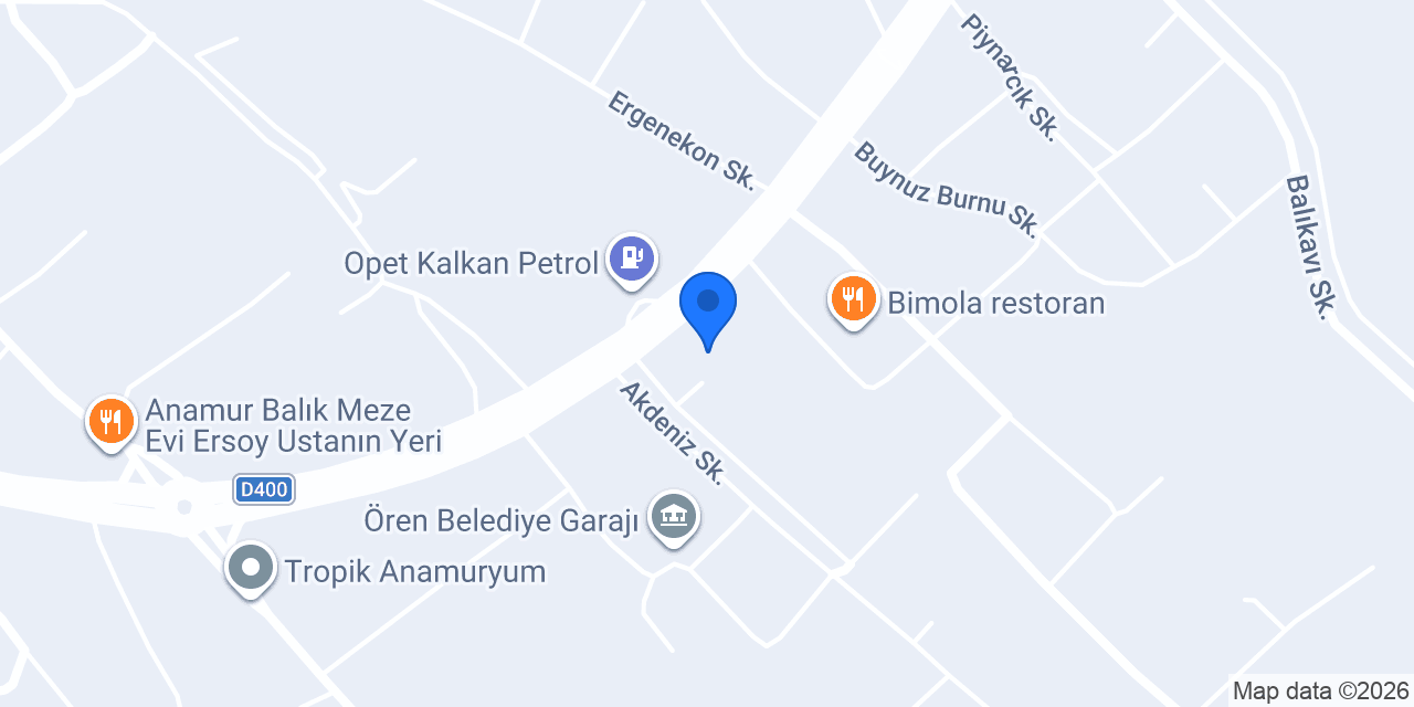 NYZ Gıda konumu
