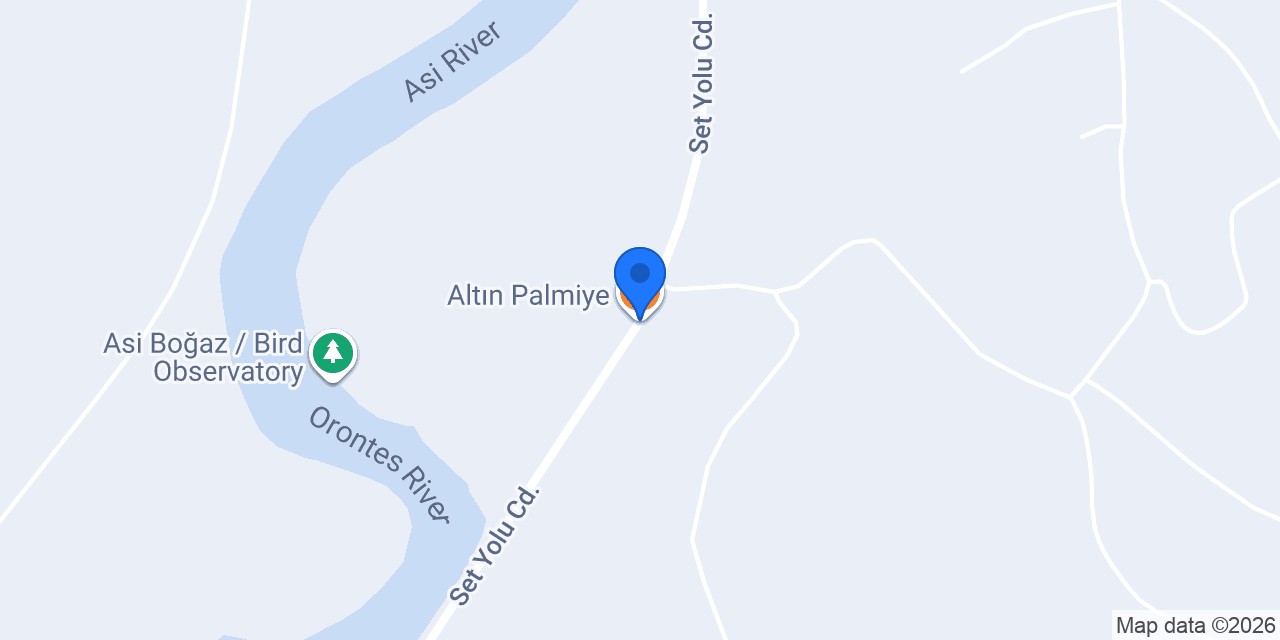 Altın Palmiye konumu