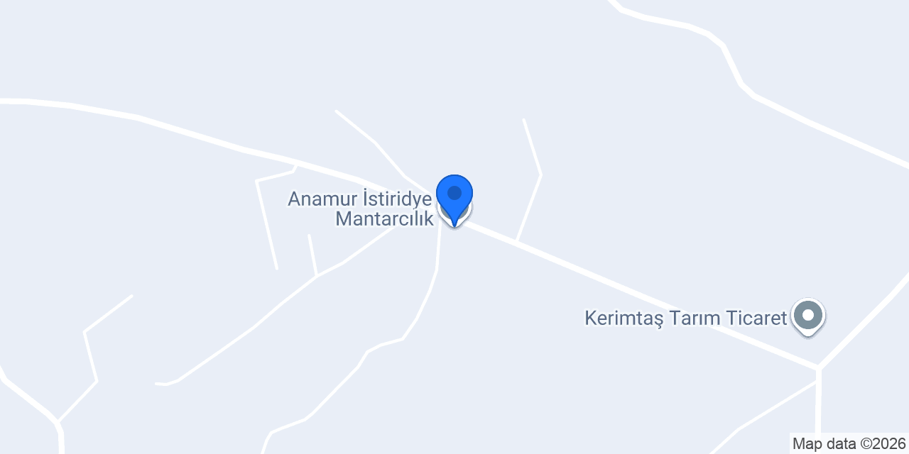 Anamur İstiridye Mantarcılık konumu
