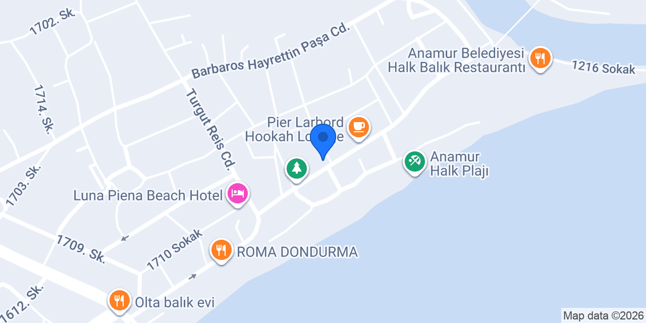 Ziyade Anamur / Yeni Nesil Meyhane konumu