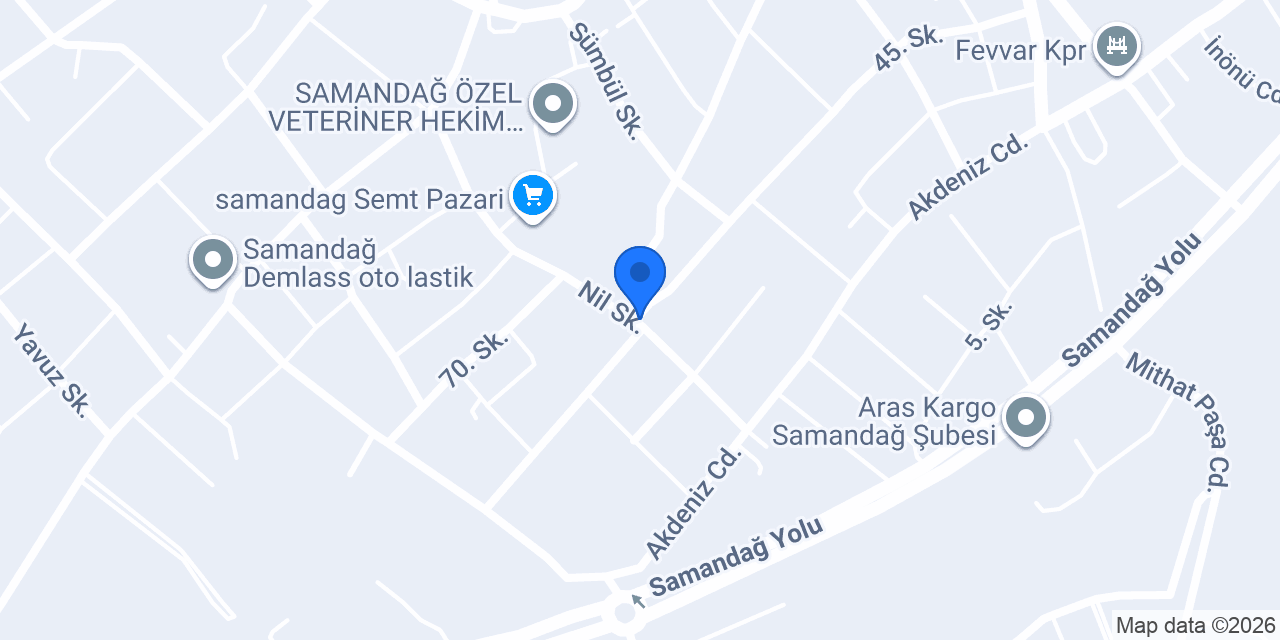 FİLİZ AUTO konumu