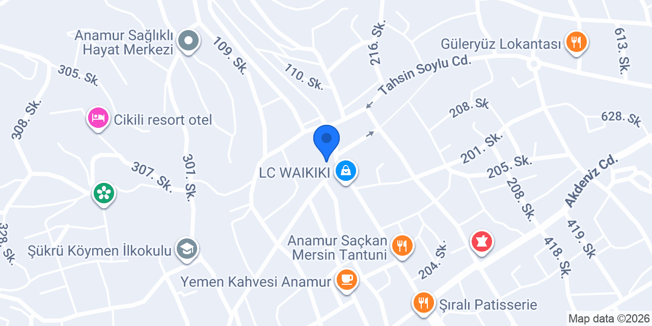 ASLAN MARKET konumu