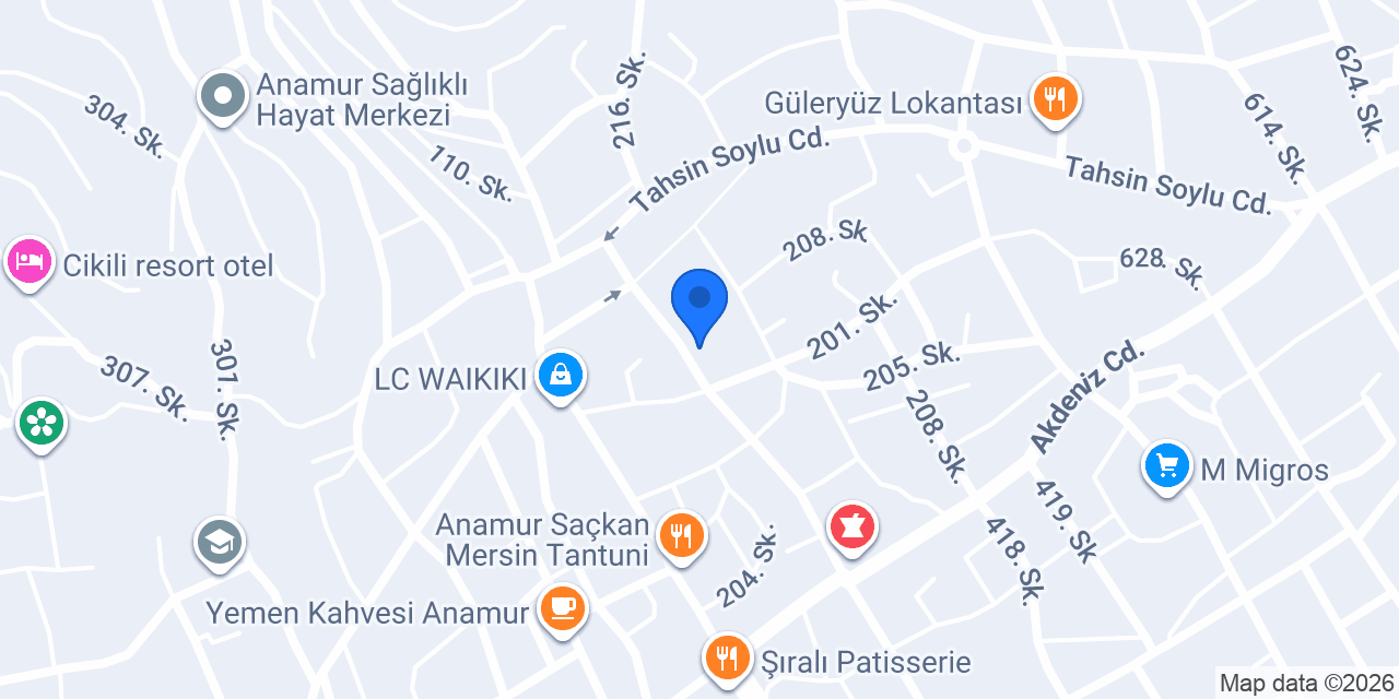 EGE ENERJİ MÜHENDİSLİK konumu
