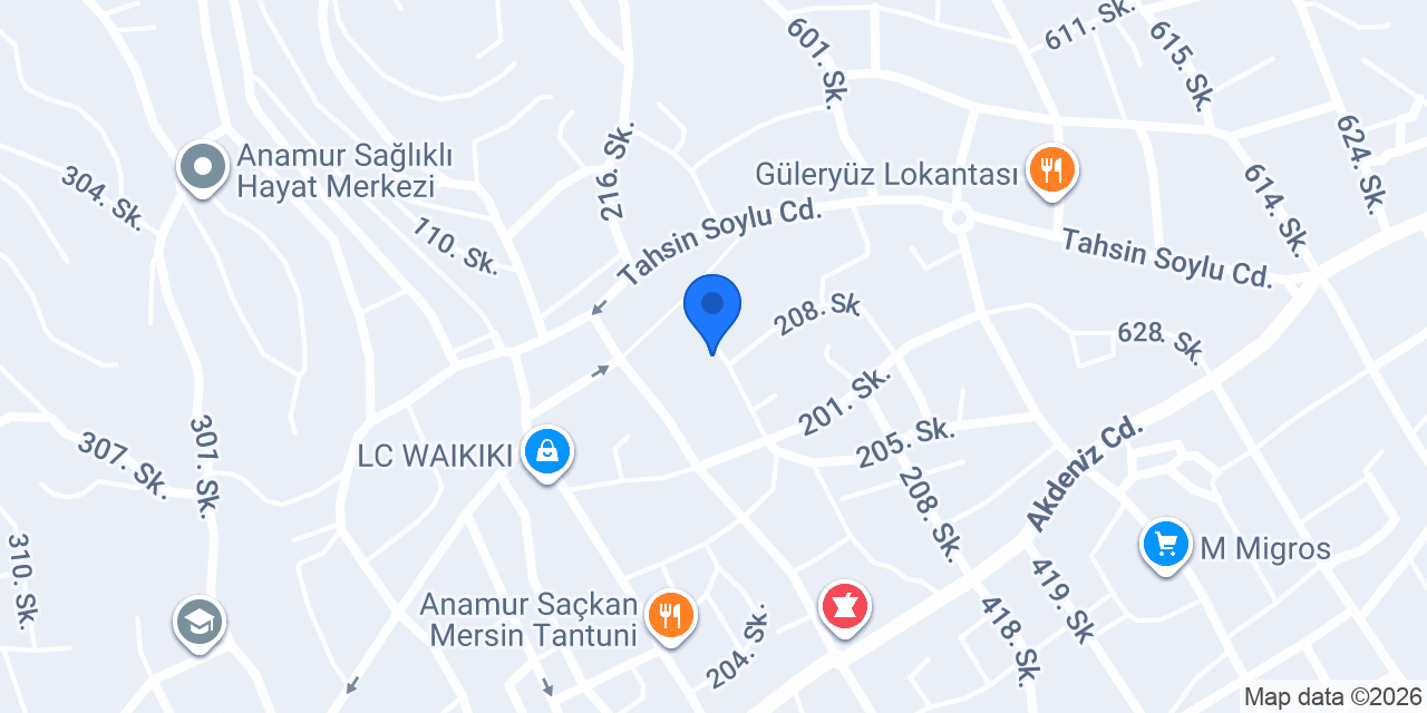 Erdim Pizza konumu