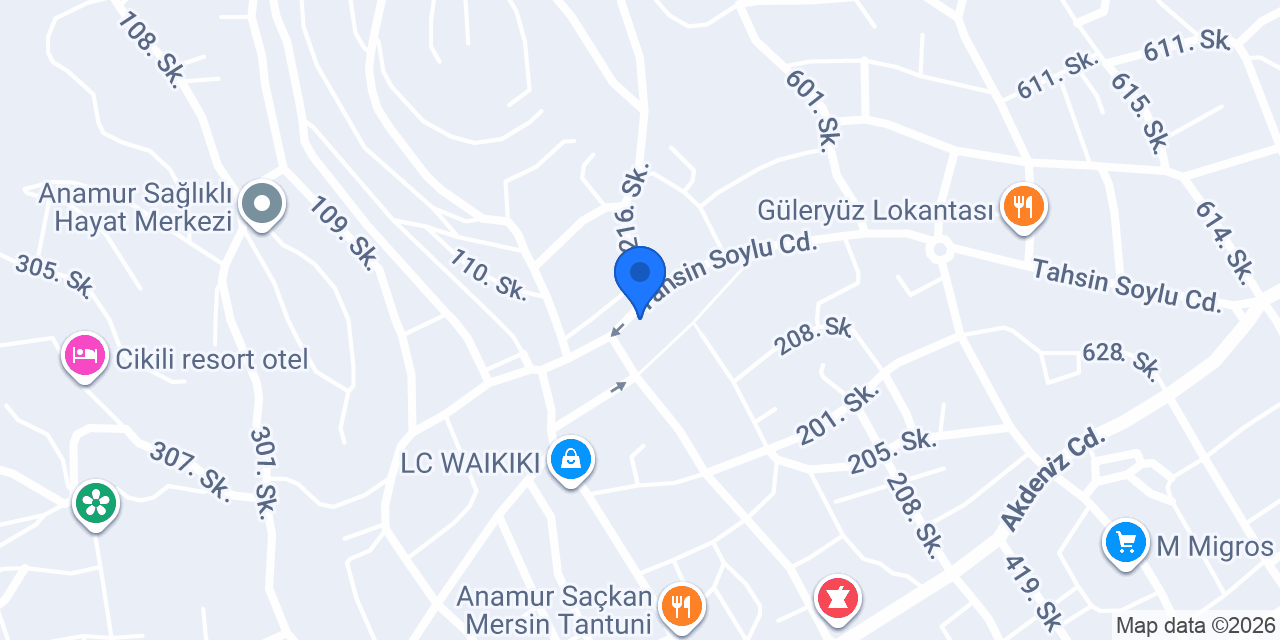 Özlem elektrik konumu