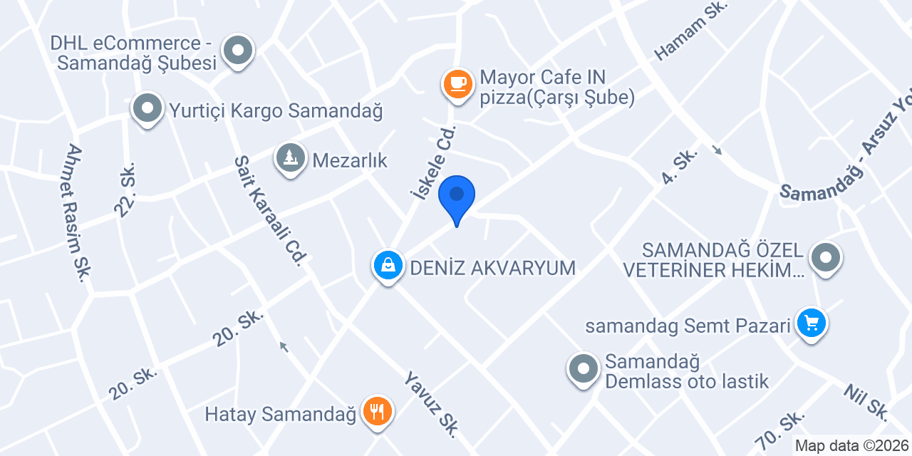 Doruk Vizyon Eğitim Kurumu konumu