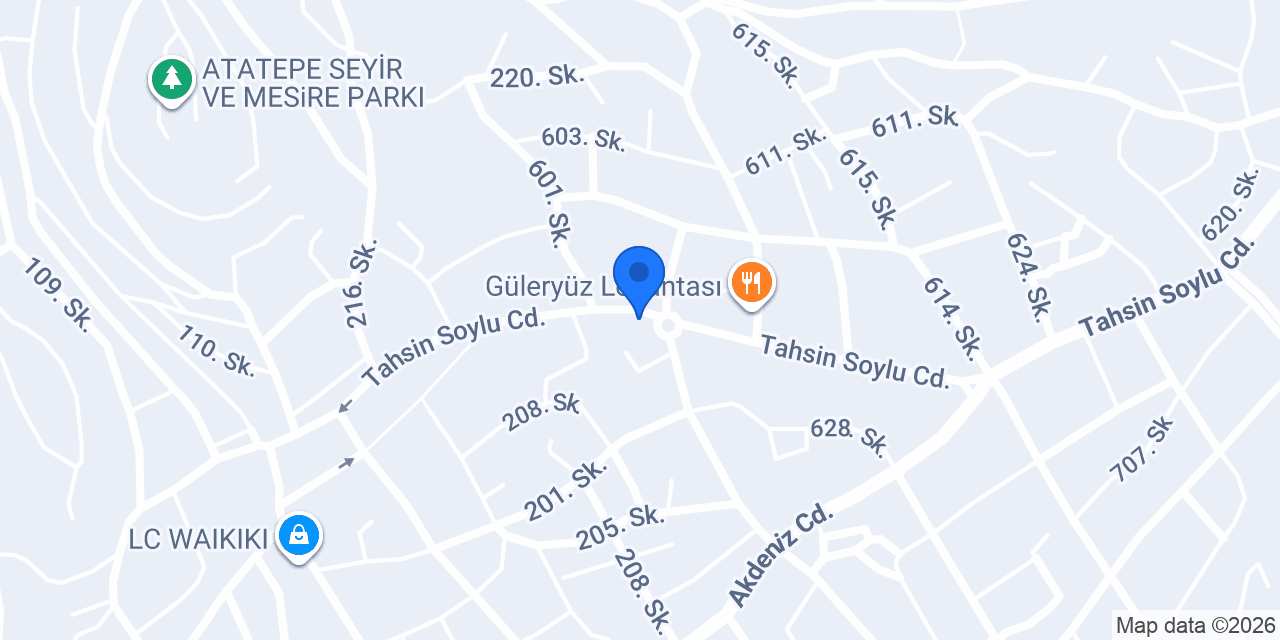HALI DÜNYASI konumu