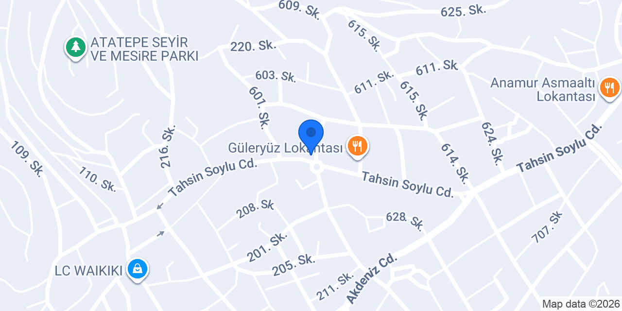 ANAMUR ÖZEL LİDER FİNAL TEMEL LİSESİ konumu