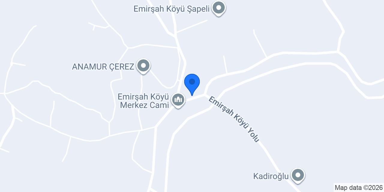 Bi Kutu Meyve konumu