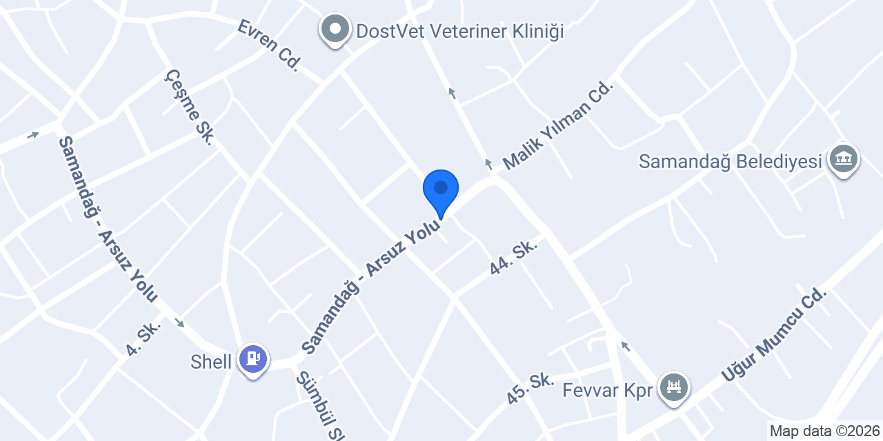 Şahutoğlu Oto Galeri konumu