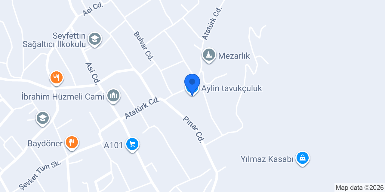 Aylin tavukçuluk konumu