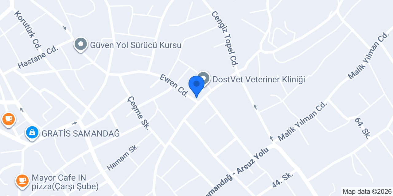 AHD Sigorta konumu