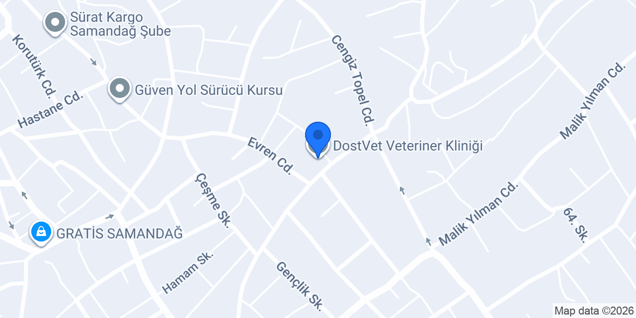 DostVet Veteriner Kliniği konumu