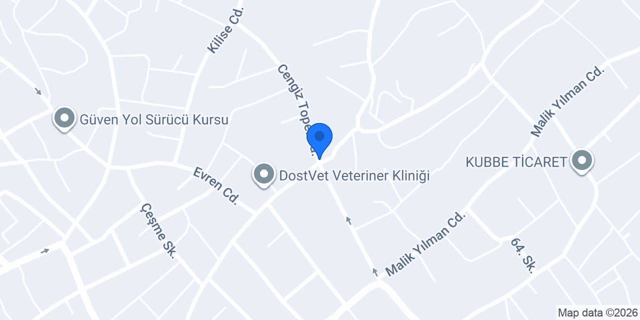 Mekan cafe restourant konumu