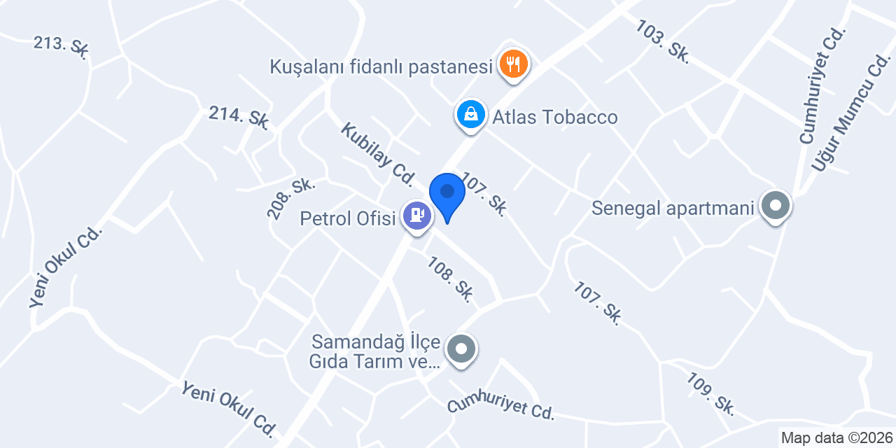 Özel Dilan Yabancı Dil Atölyesi konumu