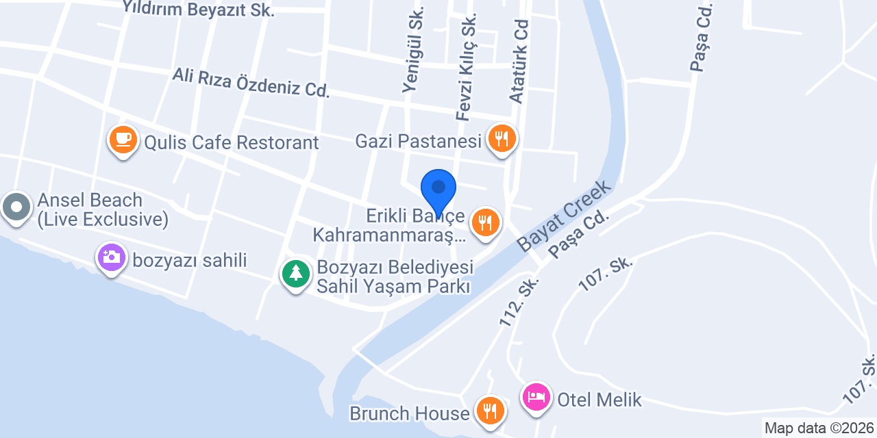 Özle Elektronik konumu