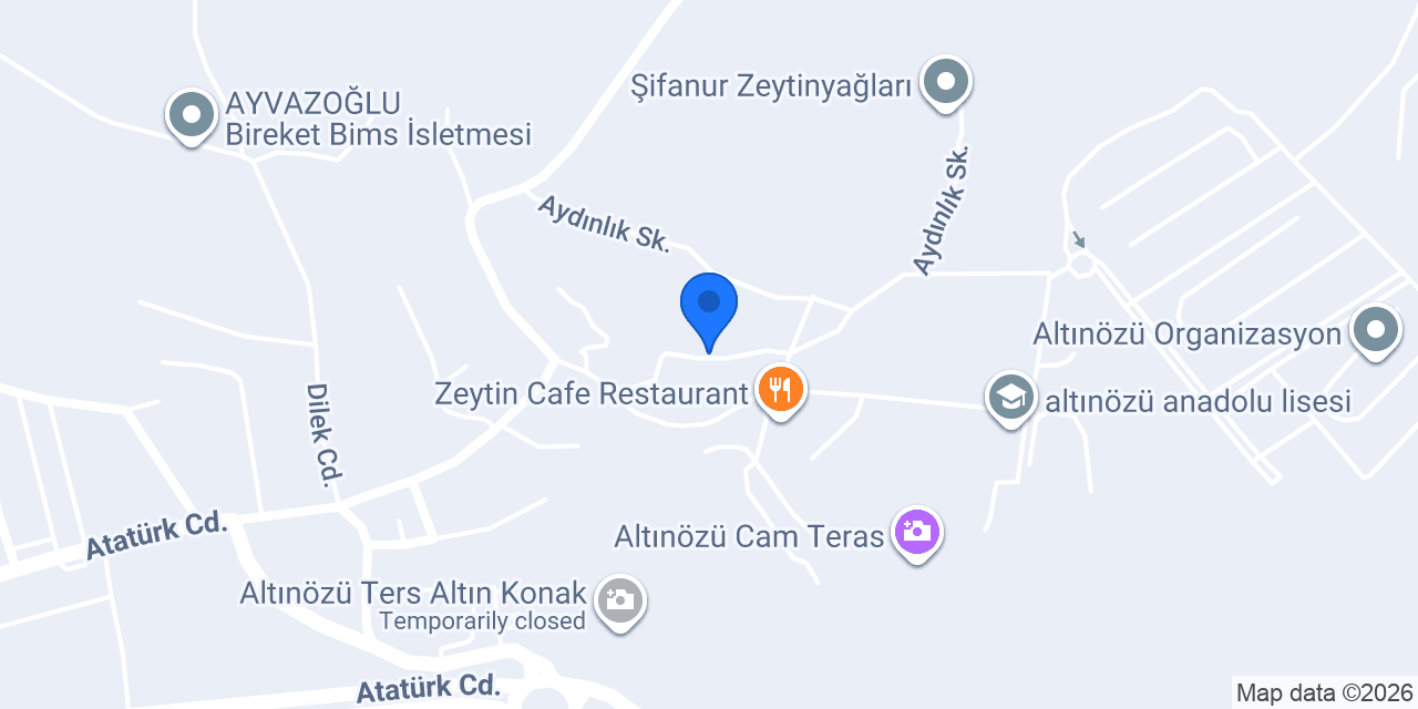 TOSTOYEVSKİ ALTINÖZÜ konumu