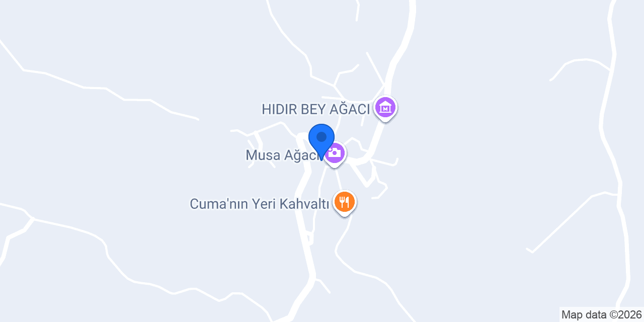 Musa ağacı ASİ künefe Hıdırbey konumu