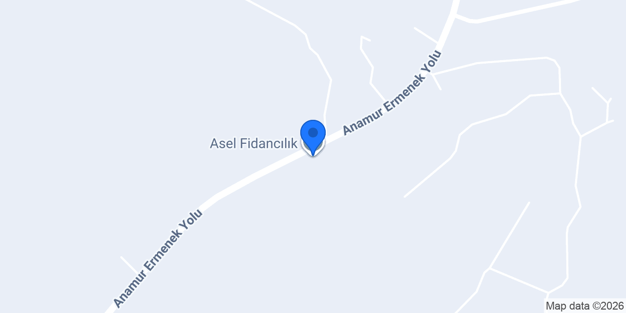 Asel Fidancılık konumu