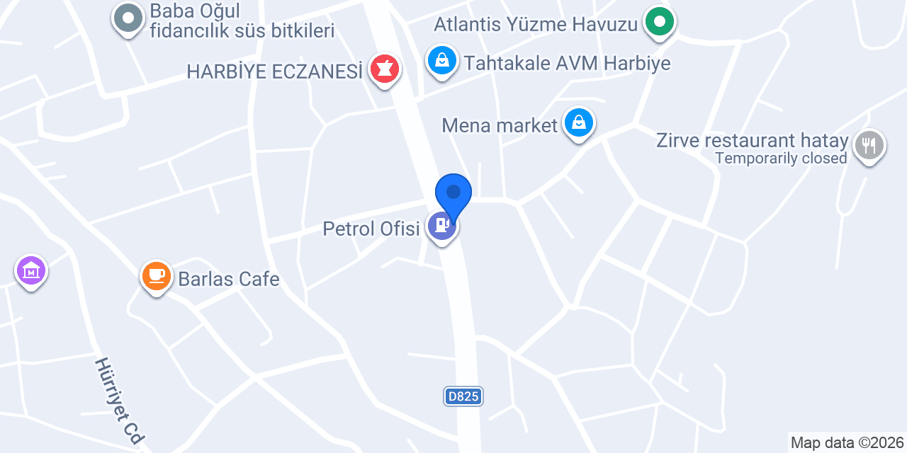 saray tavukçuluk konumu