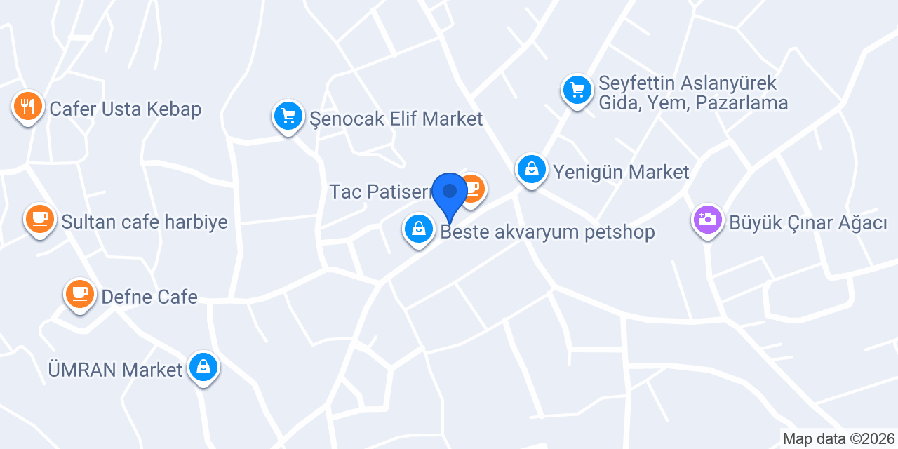 Tac Kuruyemiş konumu