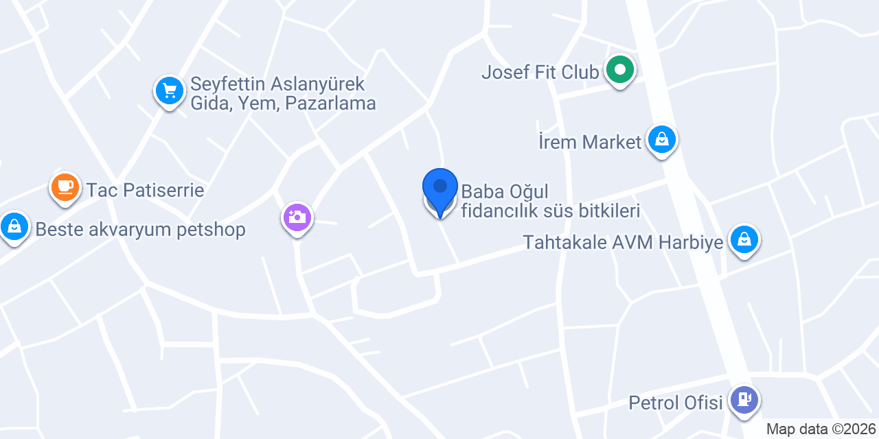 Baba Oğul fidancılık süs bitkileri konumu