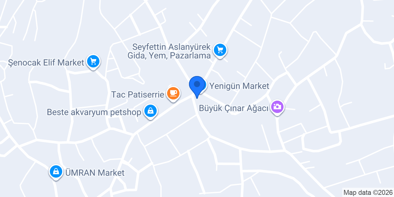 ASİ FIRINI konumu