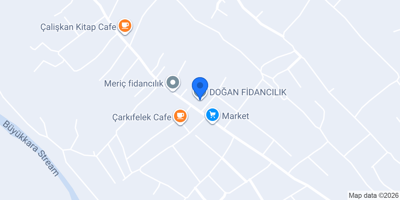 DOĞAN FİDANCILIK konumu