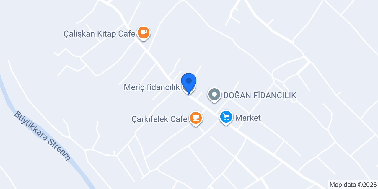 Meriç fidancılık konumu