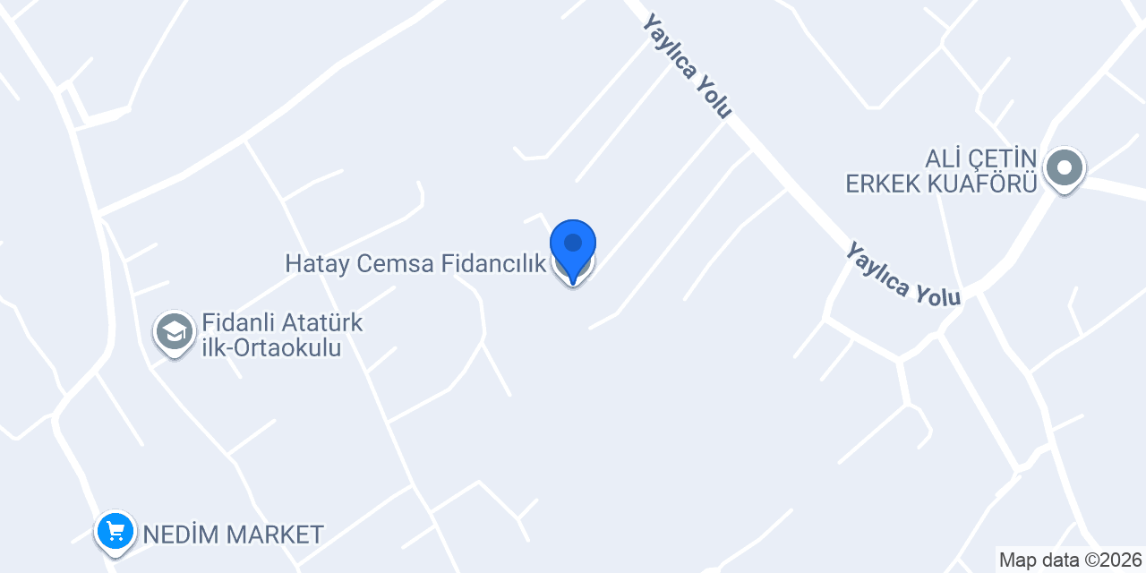 Hatay Cemsa Fidancılık konumu