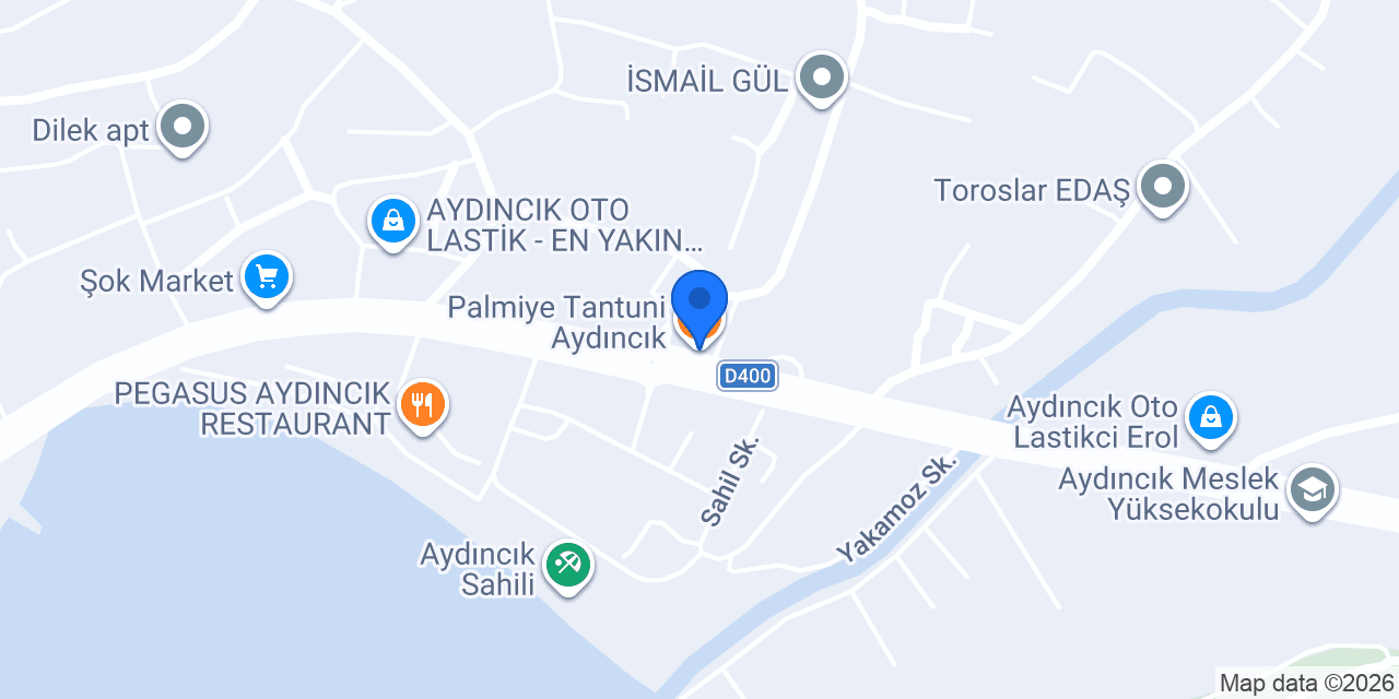 Palmiye Tantuni Aydıncık konumu