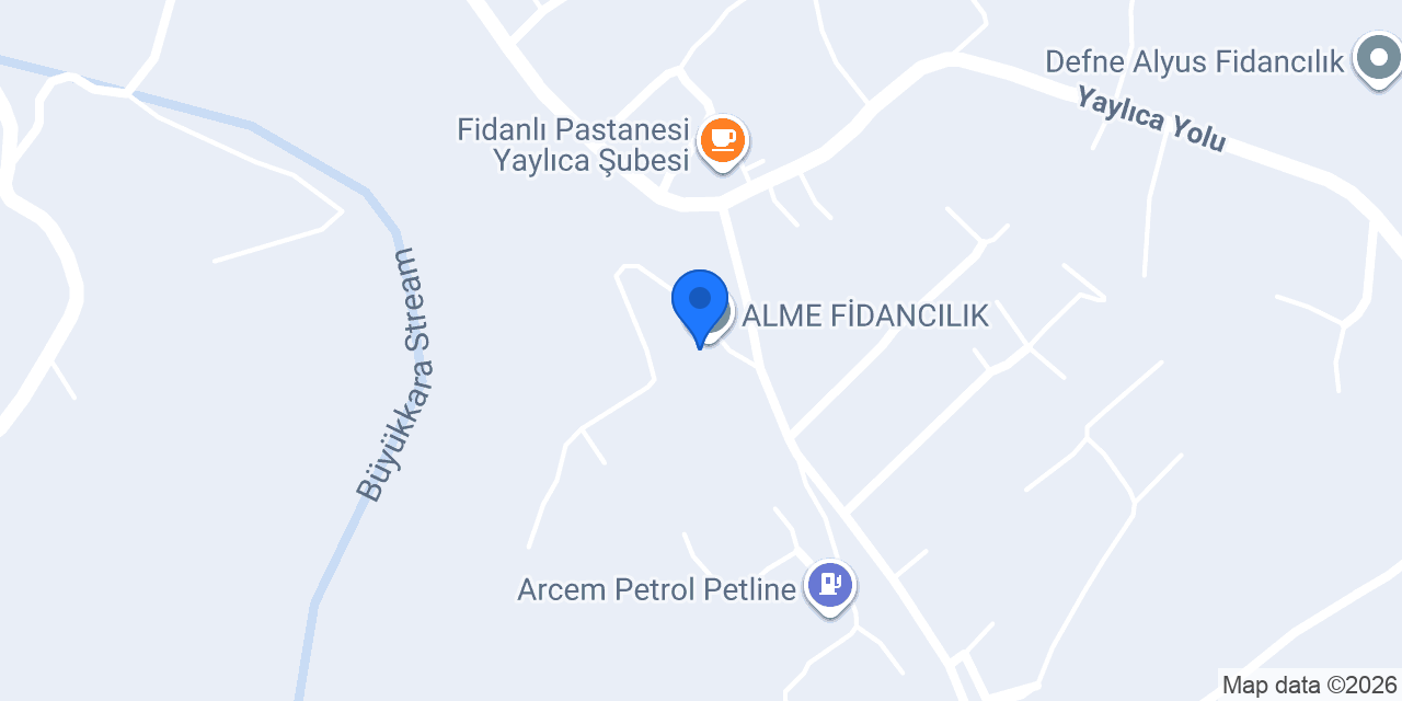 Eser fidancılık konumu