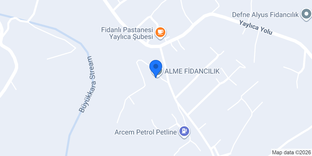 ALME FİDANCILIK konumu