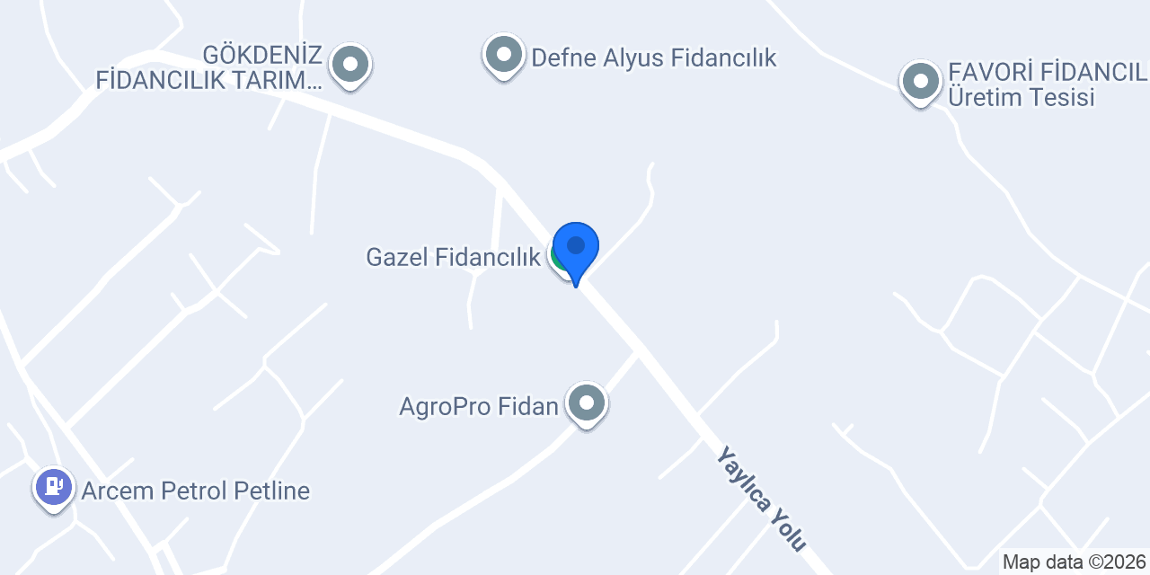 Mızraklı Fidancılık konumu