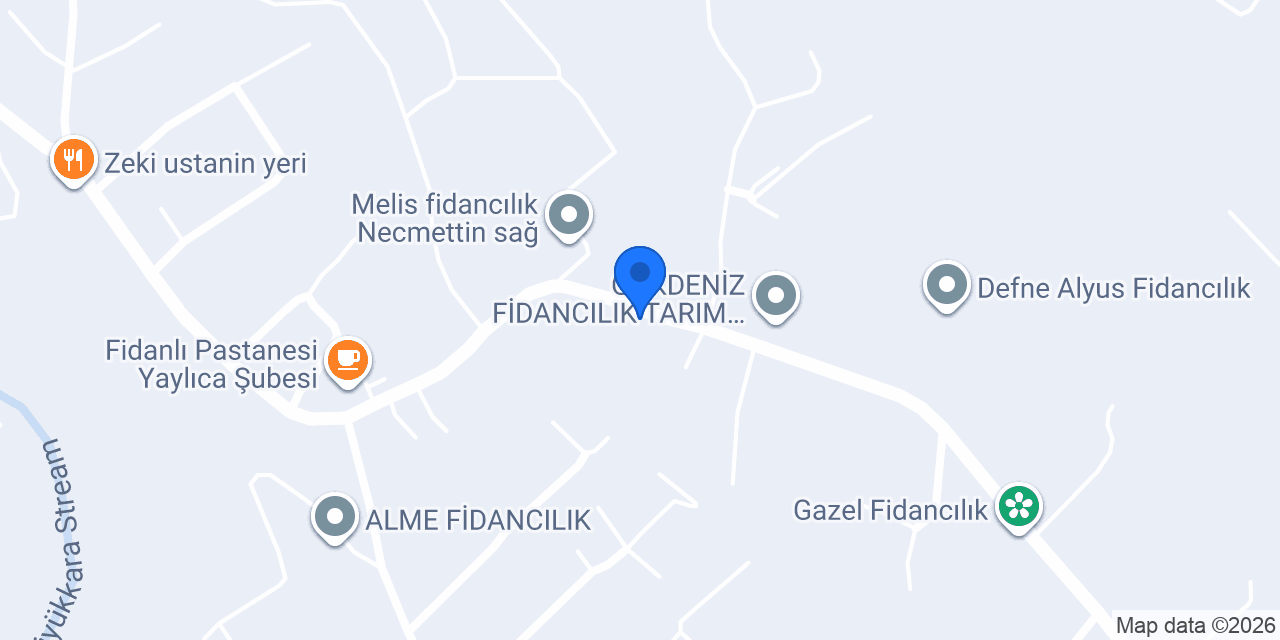 Defne Mobilya - Yusuf Güzel konumu