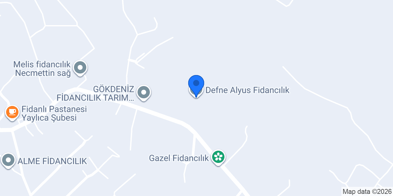 Defne Alyus Fidancılık konumu
