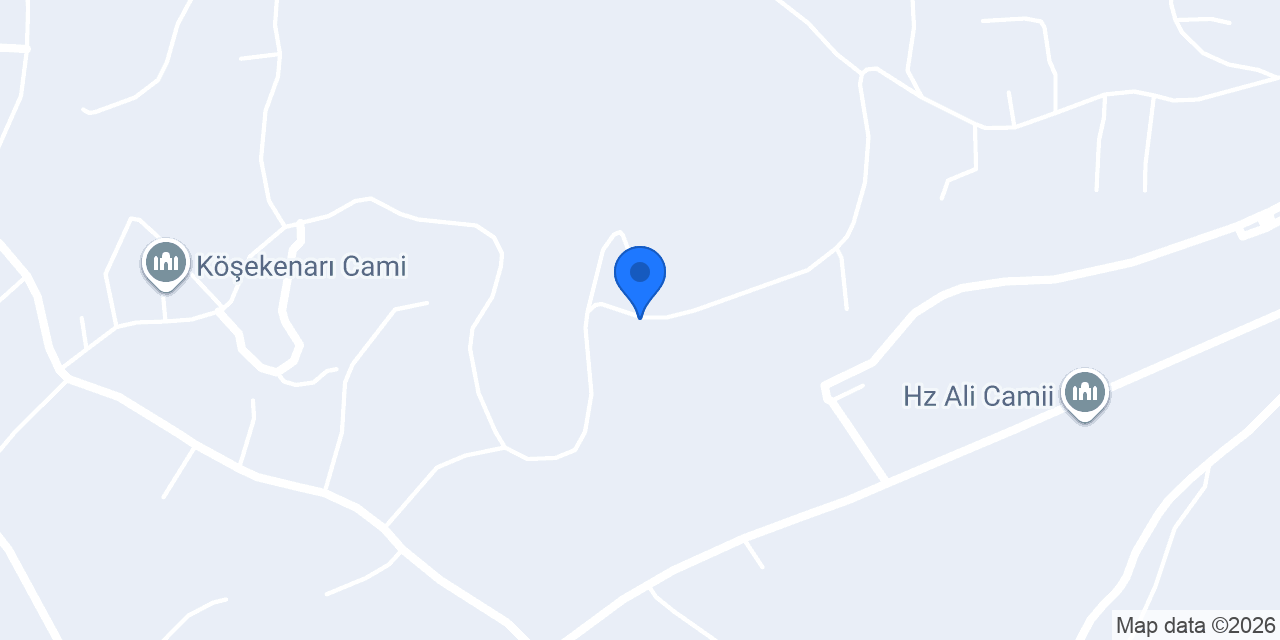 Çiçek seracılık konumu