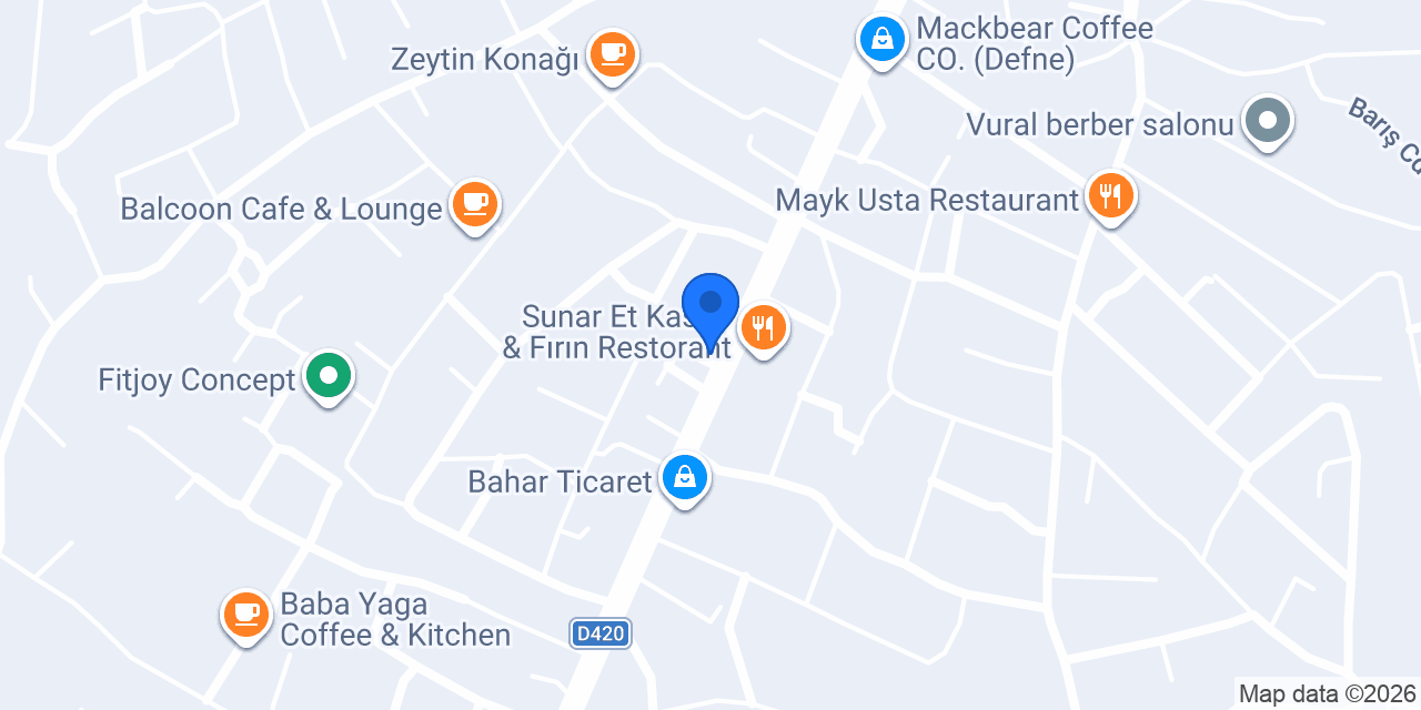 Aslan oto yıkama konumu