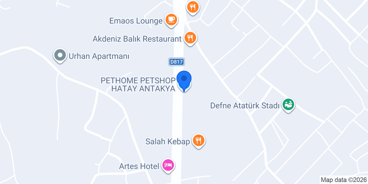 Anitta Kuruyemiş konumu