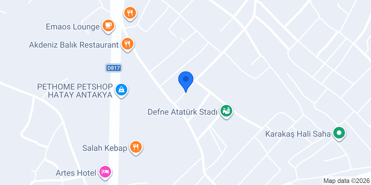 Ömerogullari global konumu