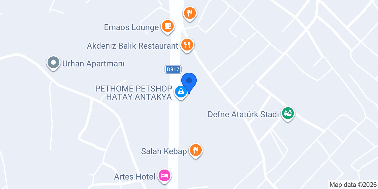 Sayar Fotokopi konumu