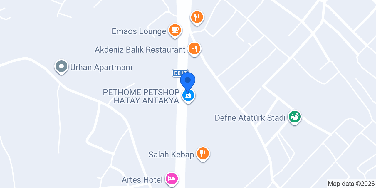 Felek Meyhanesi konumu