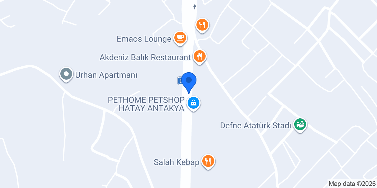 Lavinya Çiçekevi konumu