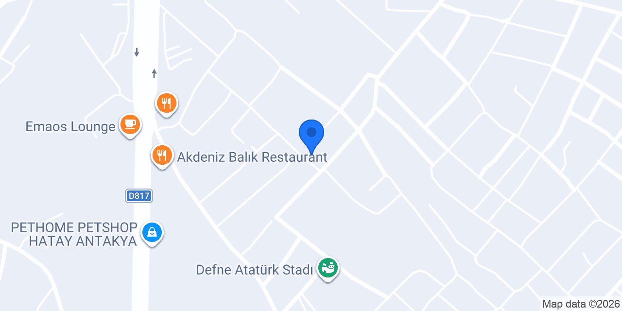 Radar Terzi konumu