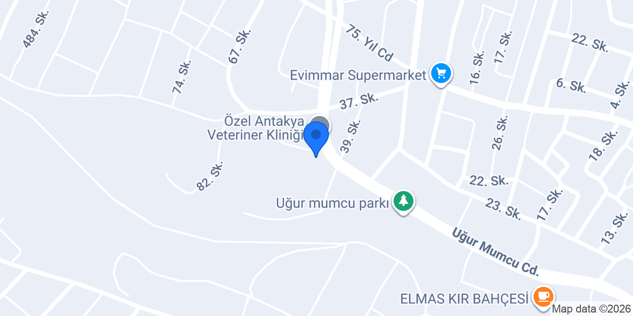 Simon Terzihanesi ve Dikimevi konumu