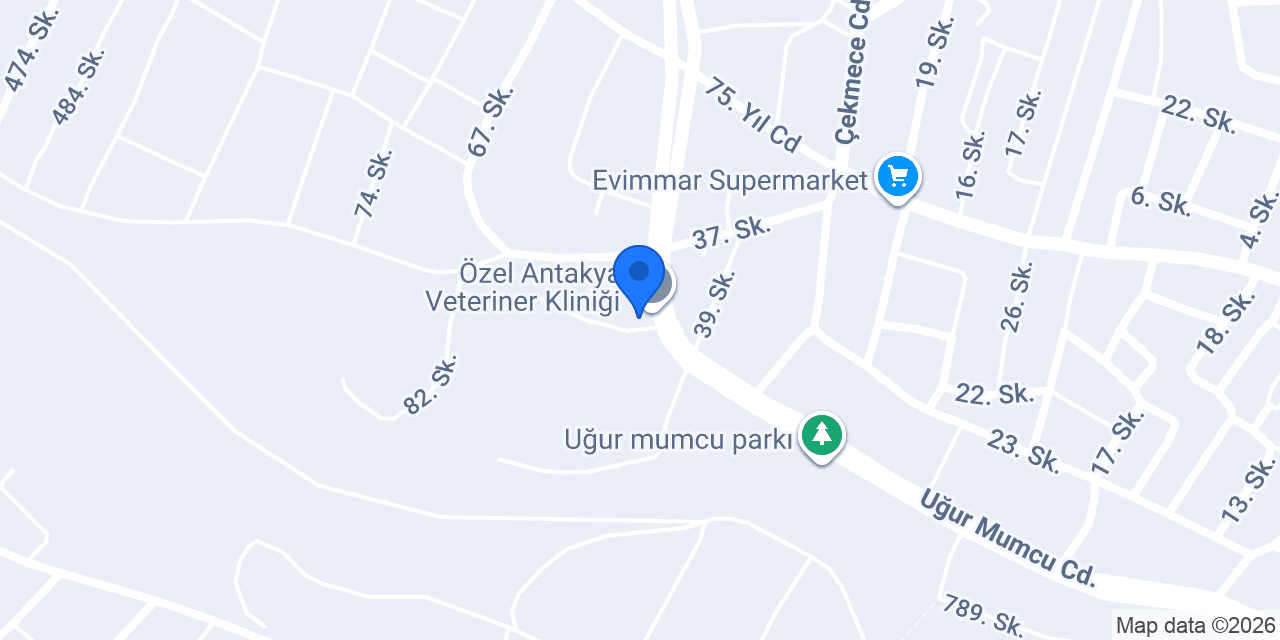 MEDYA Z konumu