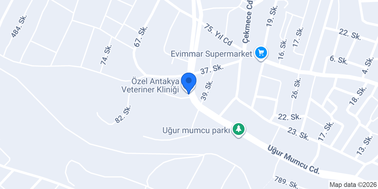 PARLA ORGANİZASYON HATAY konumu