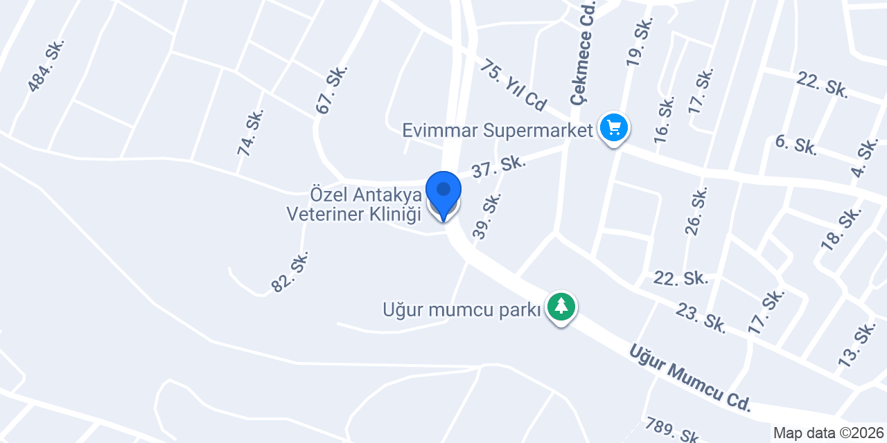 Özel Antakya Veteriner Kliniği konumu
